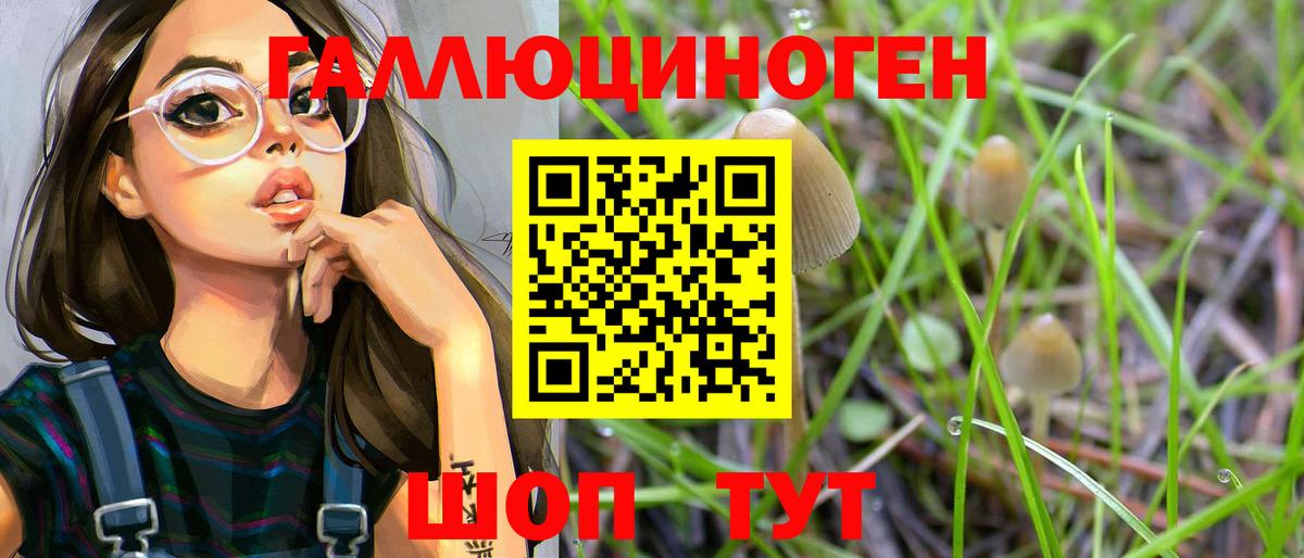Заречный  наркотики  Вход с VPN  Псилоцибиновые грибы GOLDEN TEACHER 